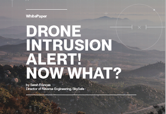 Drone Intrusion Alert! Now What?